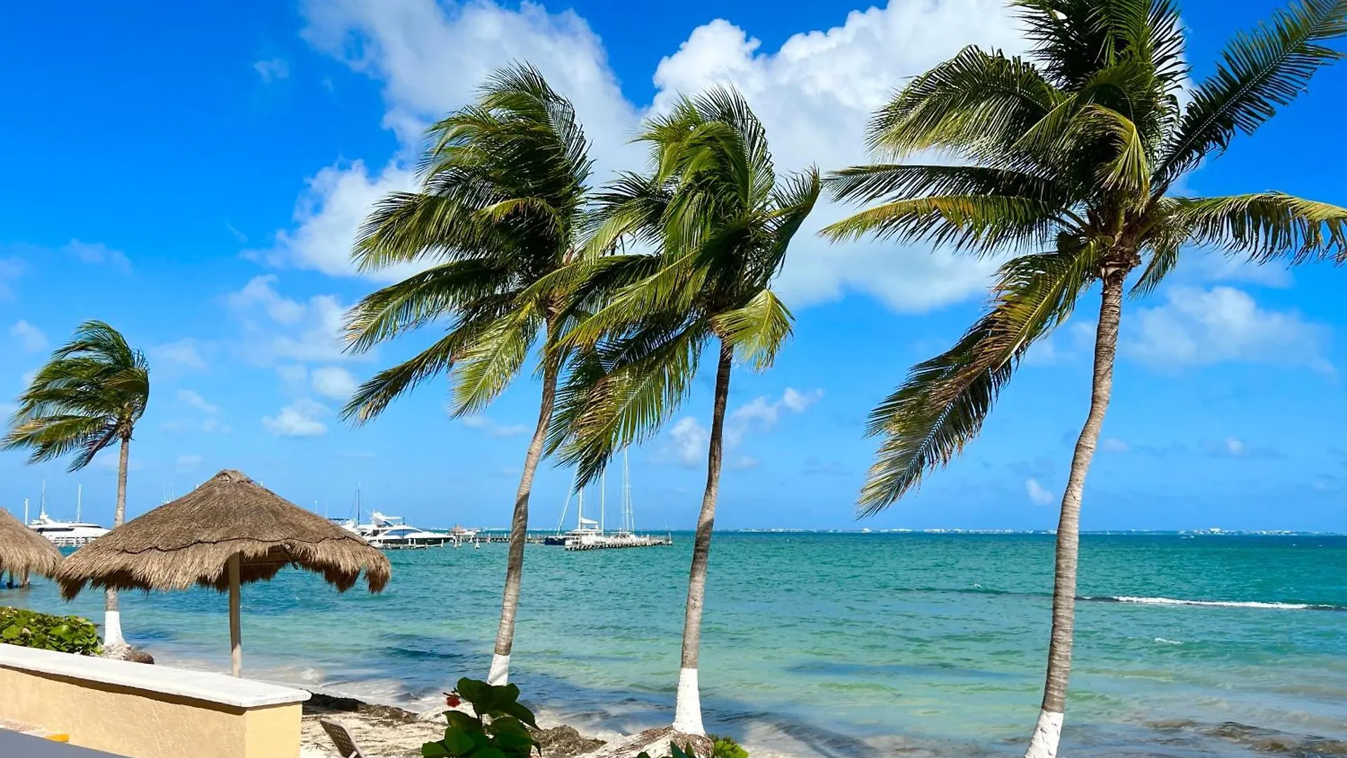 Condominiums By The Sea Cancun Apartment